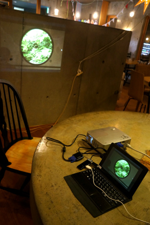 a0027641_15174431.jpg