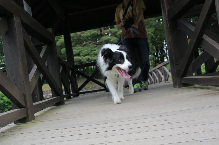 c0147241_12594027.jpg