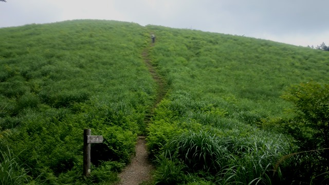 b0148050_8413153.jpg