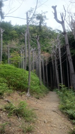 b0148050_8474558.jpg