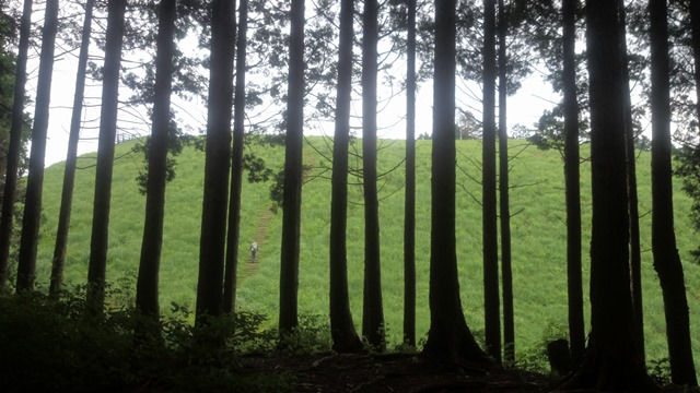b0148050_850335.jpg