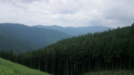 b0148050_8505873.jpg