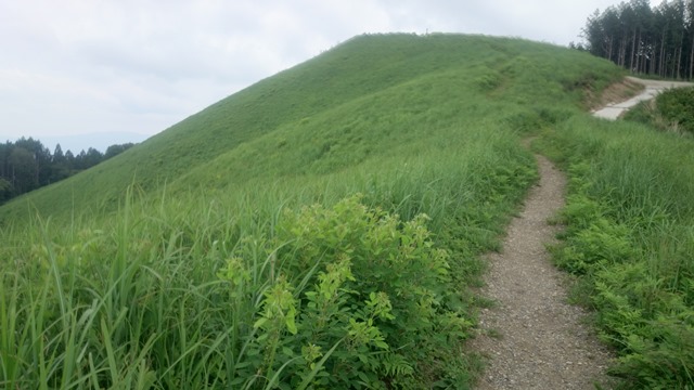 b0148050_8522786.jpg