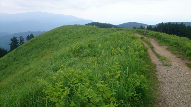 b0148050_8543016.jpg