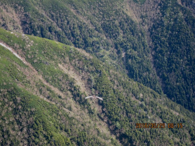 b0148050_9445517.jpg