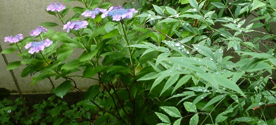 f0181251_13425054.jpg