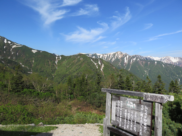 c0116856_21115518.jpg