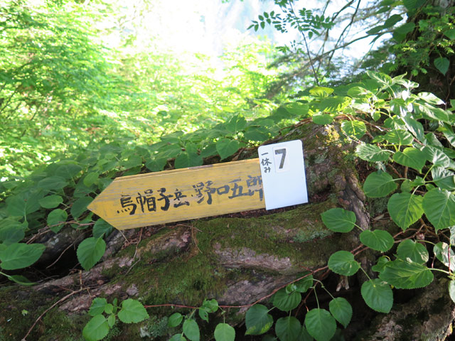 c0116856_2133233.jpg