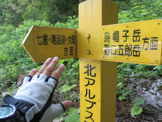 c0116856_21352219.jpg