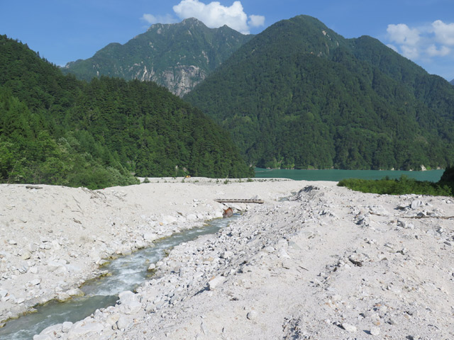 c0116856_21355310.jpg