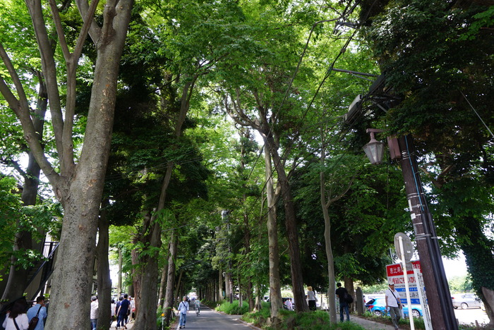 d0152261_2135507.jpg