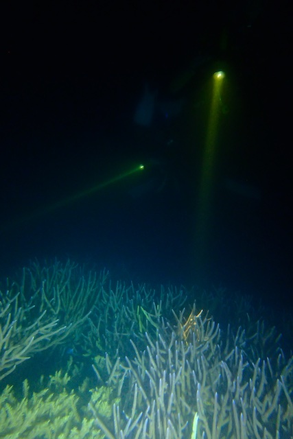 b0062363_23324052.jpg