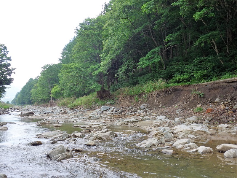 c0198267_15460276.jpg