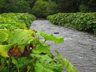 b0171771_11274421.jpg