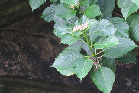 e0292172_21762.jpg