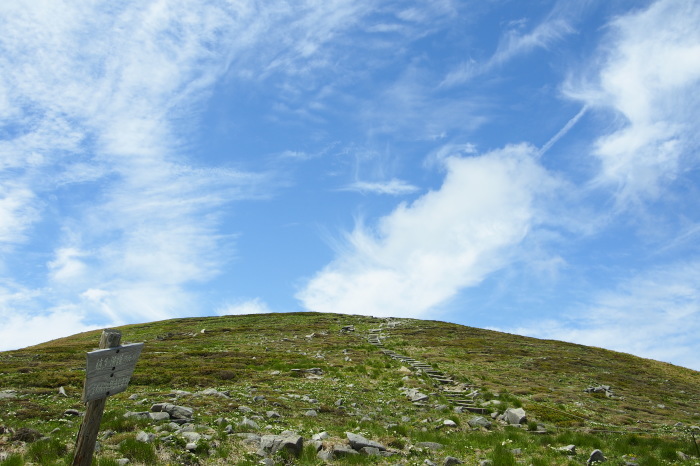 e0307372_13490062.jpg
