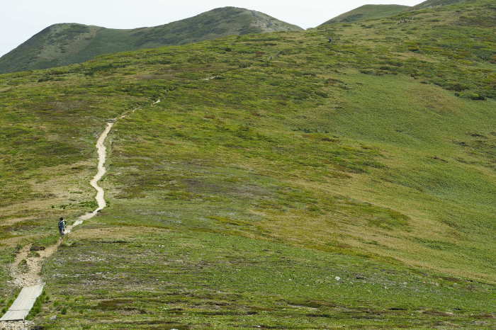 e0307372_13492967.jpg