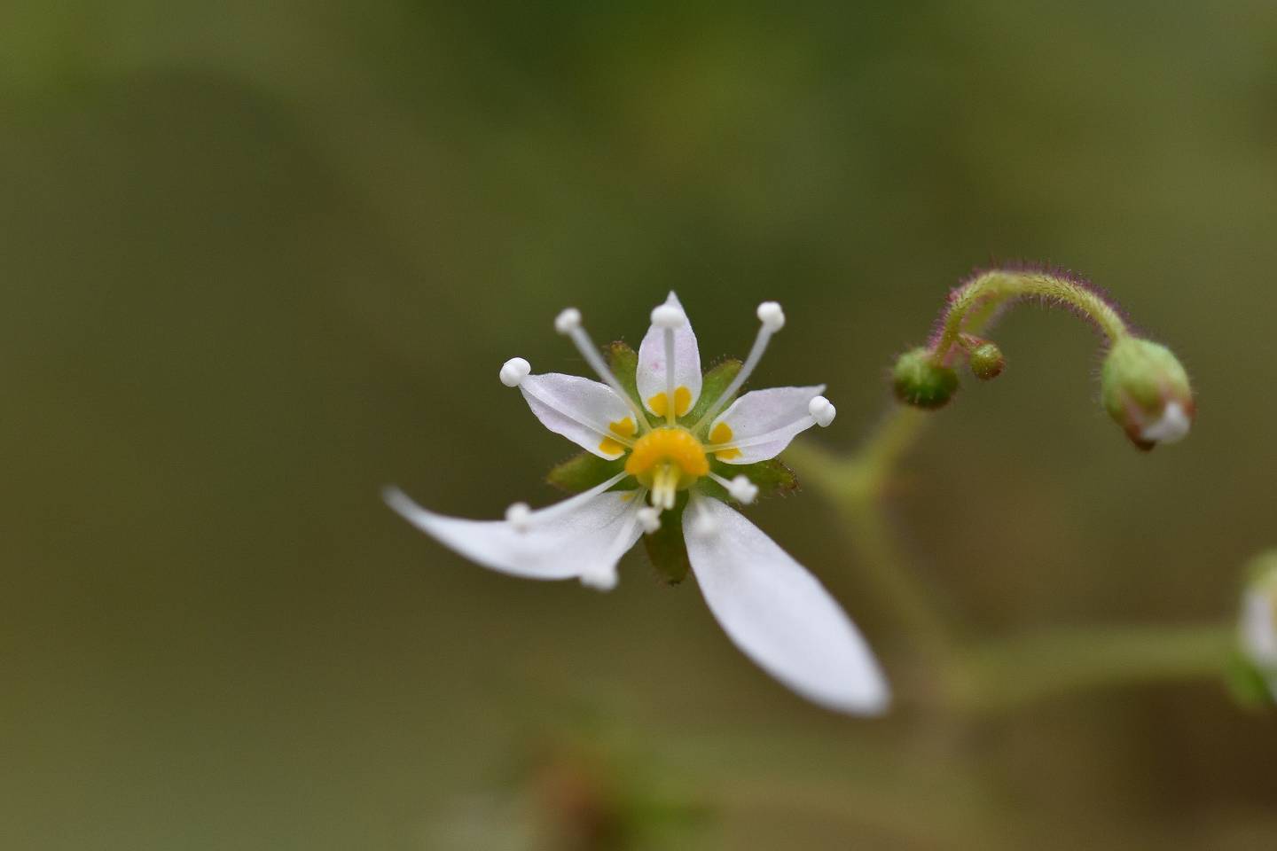 d0328977_22322561.jpg