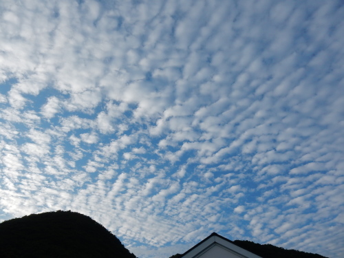 f0054677_08260152.jpg