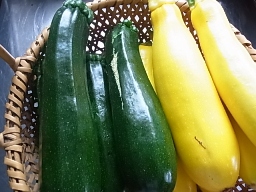 e0155085_2116750.jpg