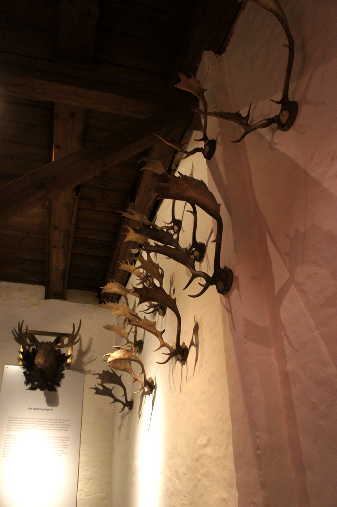 c0180686_23021623.jpg