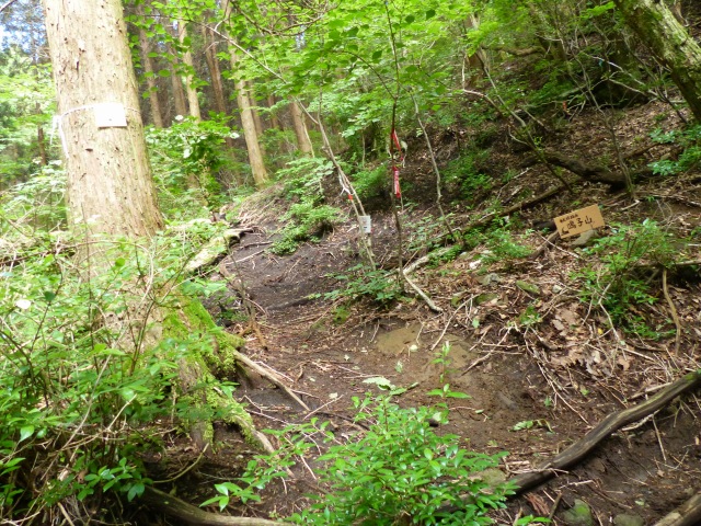 f0357487_22402221.jpg
