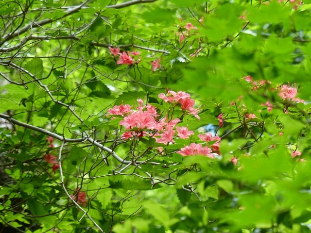f0357487_22411345.jpg