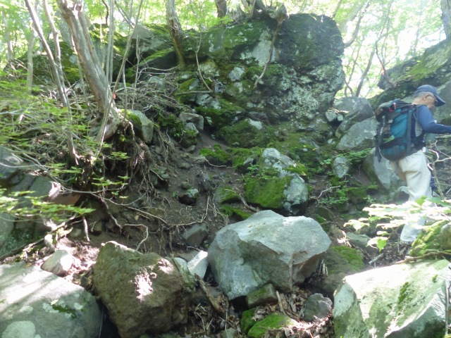 f0357487_22504018.jpg