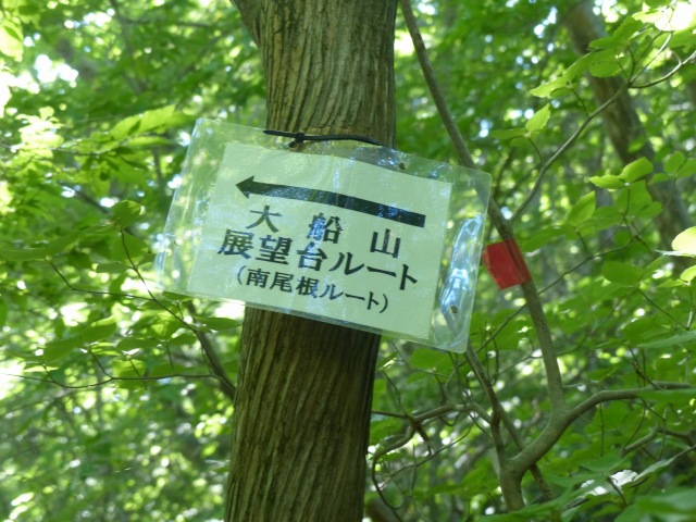 f0357487_2251916.jpg