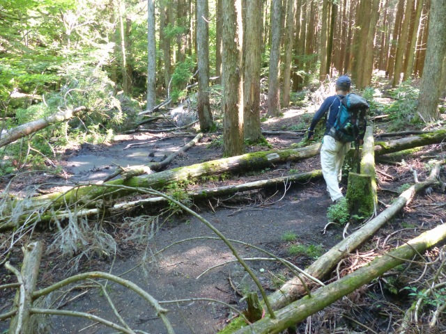 f0357487_22522350.jpg