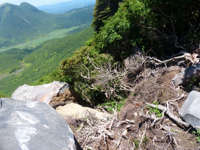 f0357487_2375747.jpg
