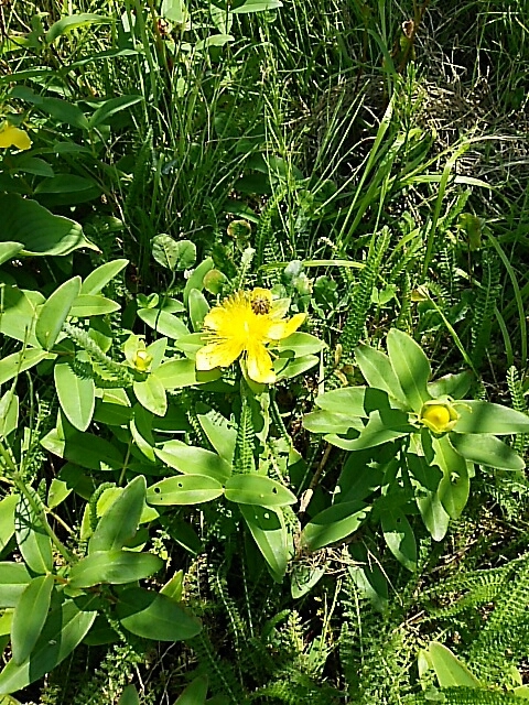 b0163088_09022942.jpg