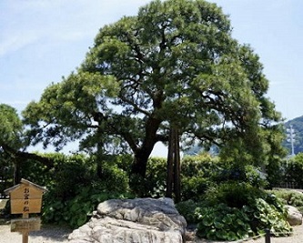 c0122791_103285.jpg