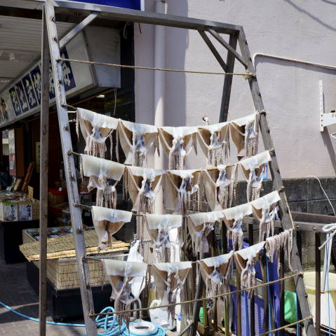 c0122791_8403150.jpg