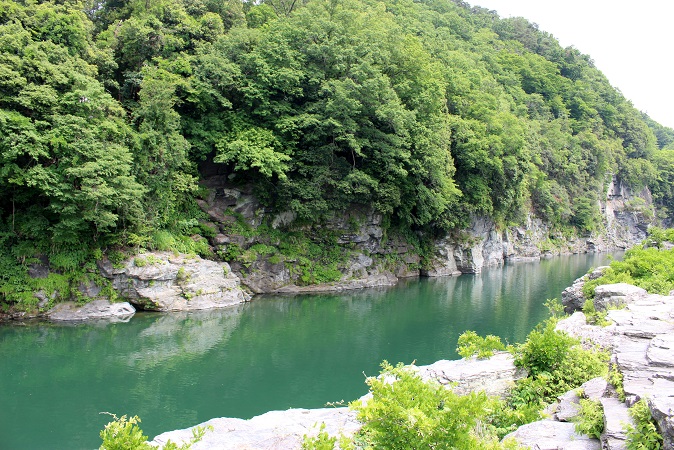 d0099791_261354.jpg