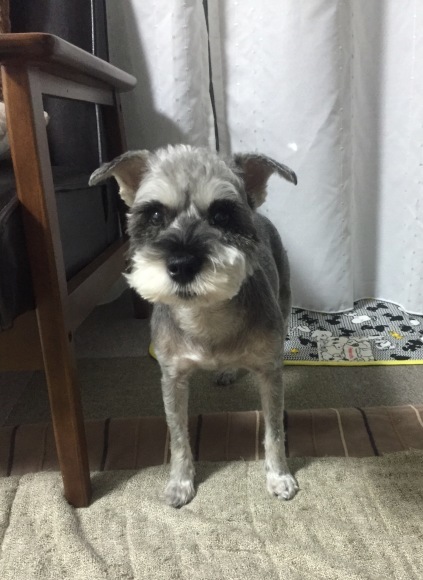 b0188998_23162778.jpeg