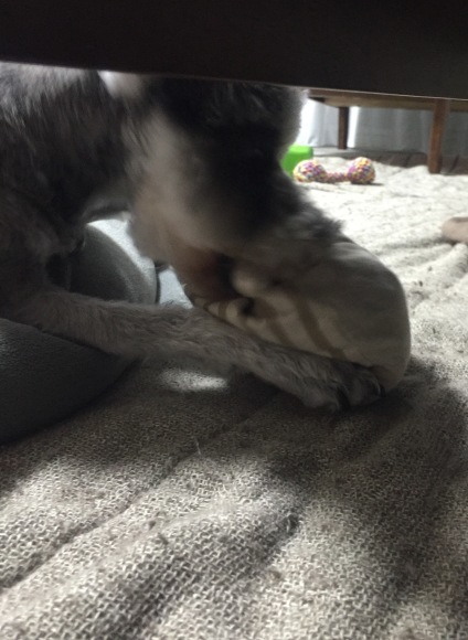b0188998_23164931.jpeg