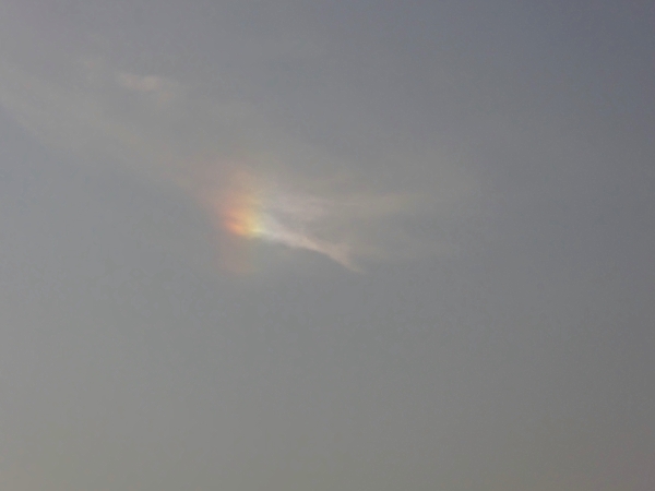 f0033598_1752158.jpg