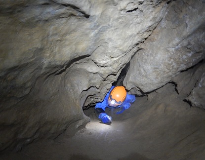 e0077899_11332240.jpg