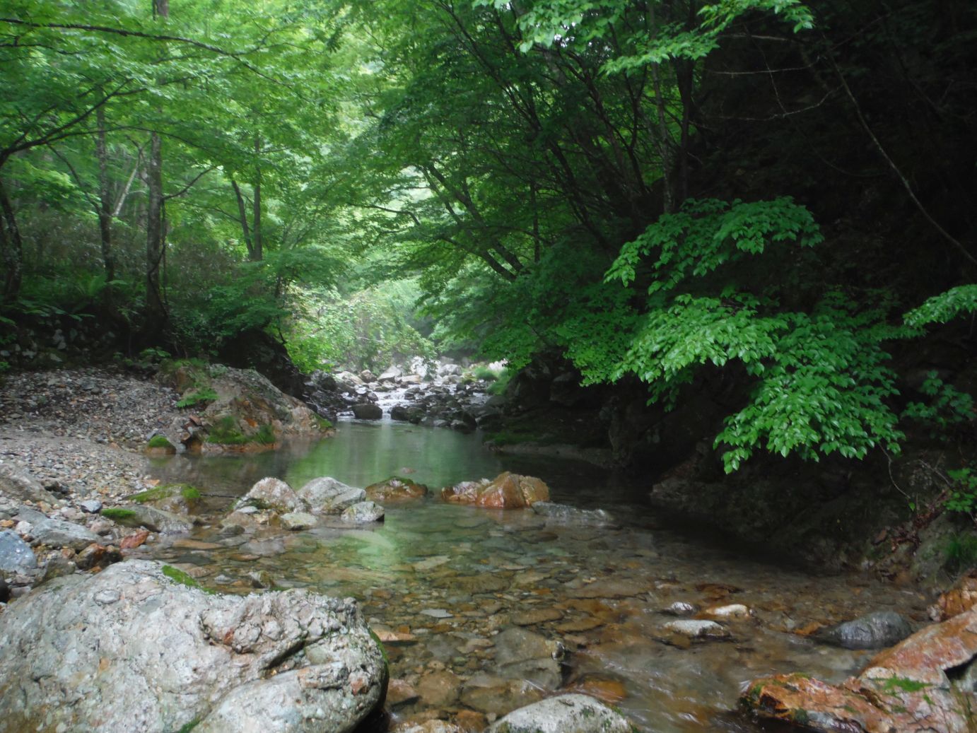 b0172805_944459.jpg