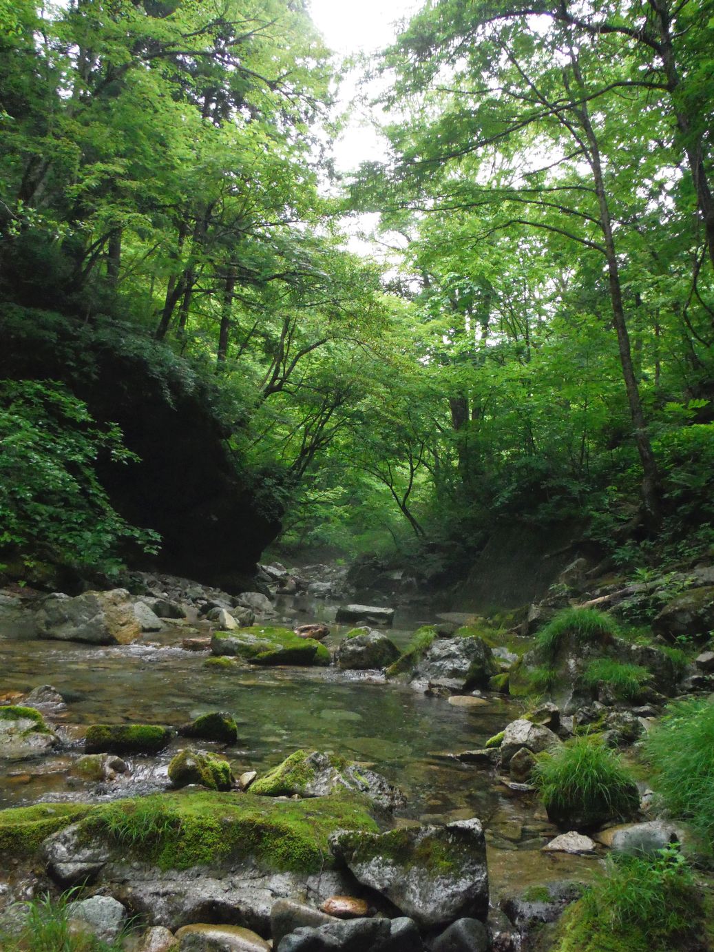 b0172805_9451022.jpg