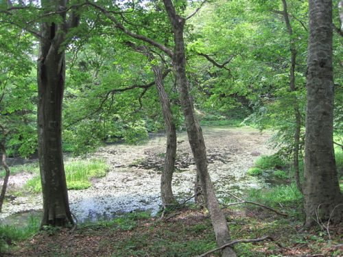 a0164011_20542818.jpg
