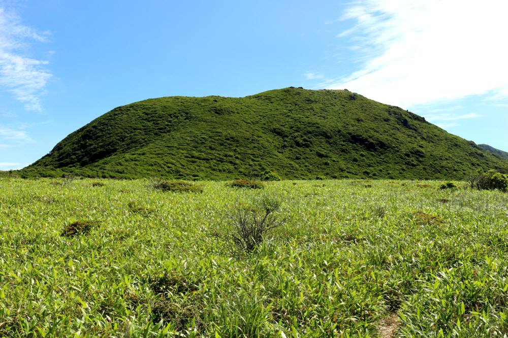 f0212511_23502566.jpg