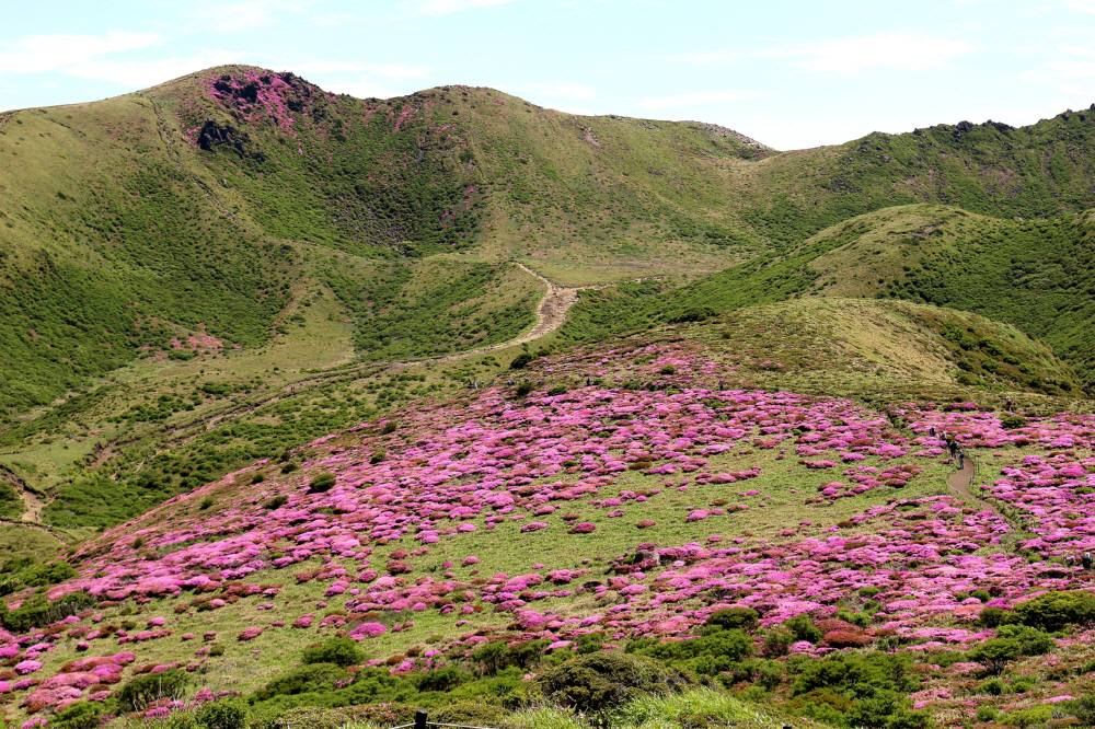 f0212511_23503116.jpg