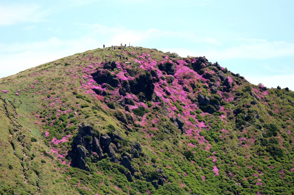 f0212511_23503812.jpg