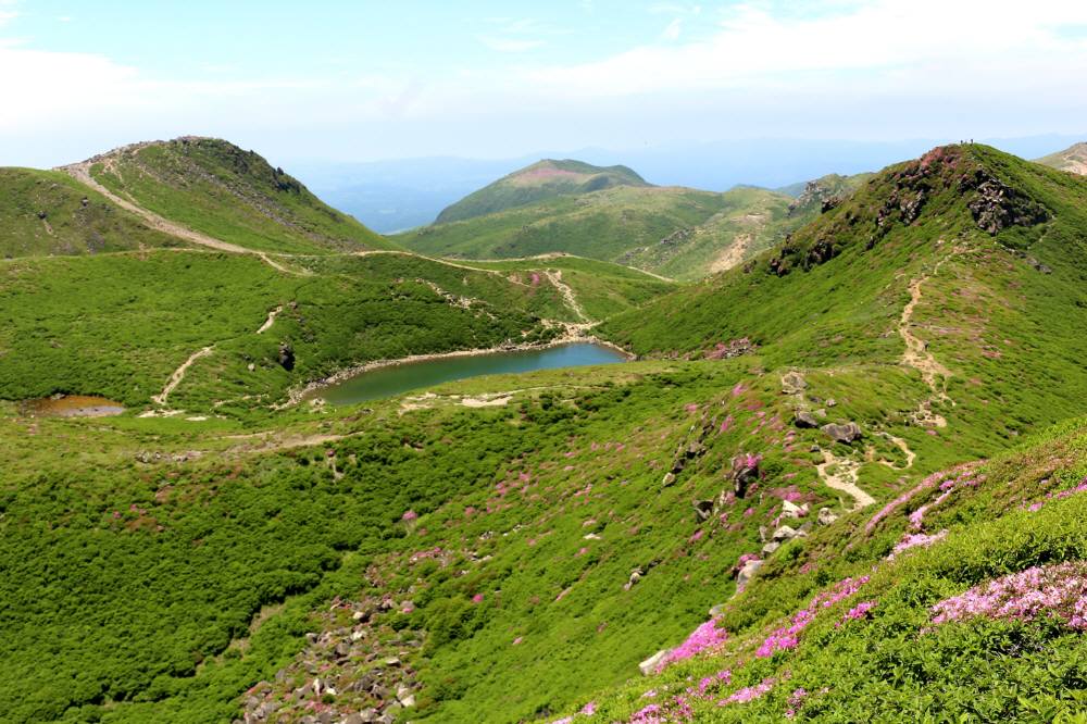 f0212511_23515865.jpg