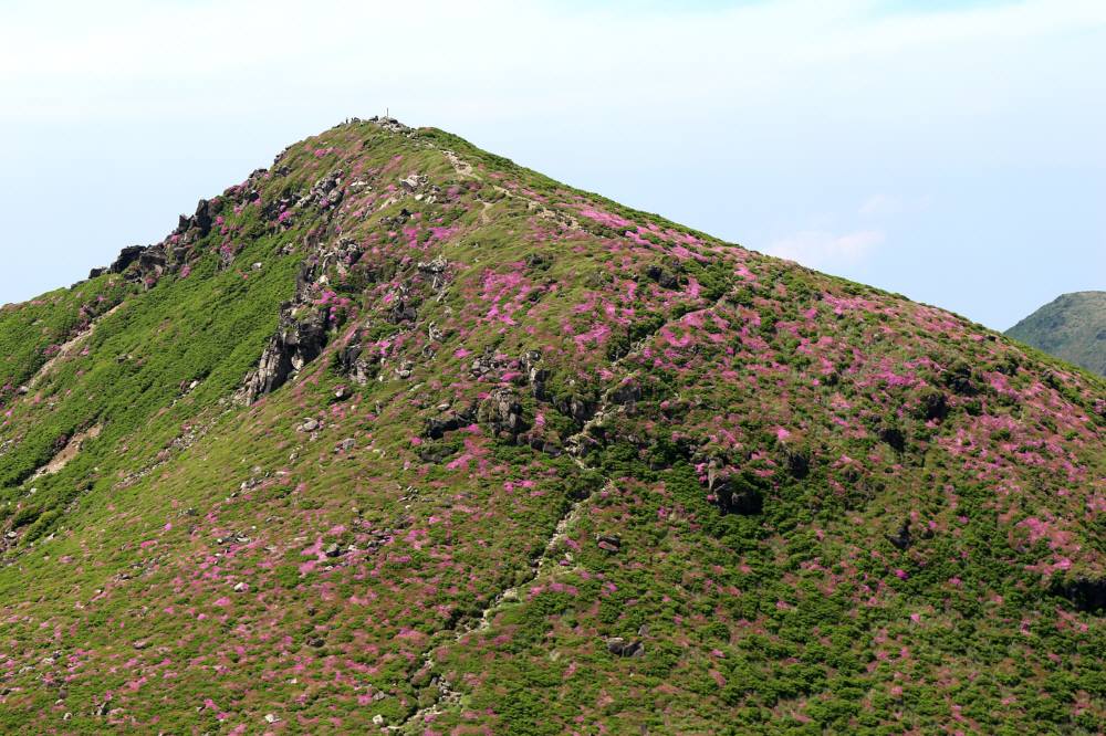 f0212511_2353796.jpg