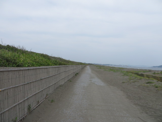d0351213_1929497.jpg