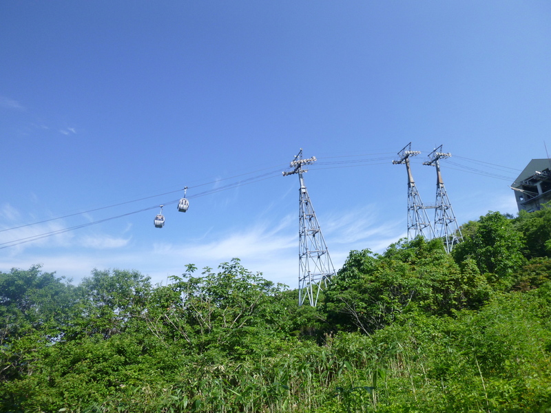 d0170615_1122860.jpg