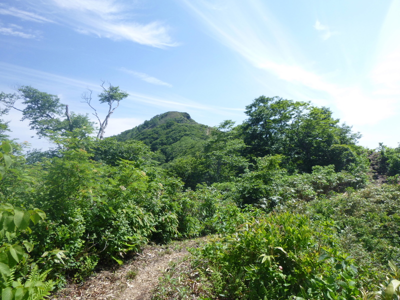 d0170615_1124184.jpg